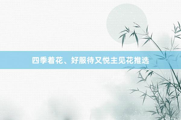 四季着花、好服待又悦主见花推选