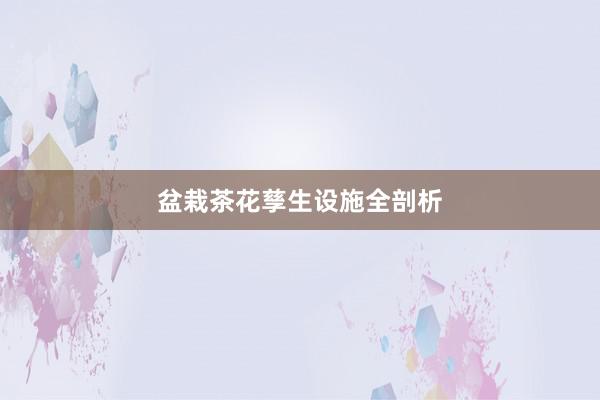 盆栽茶花孳生设施全剖析